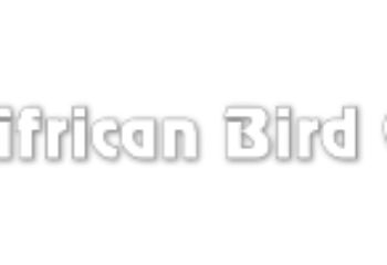 african-bird-club