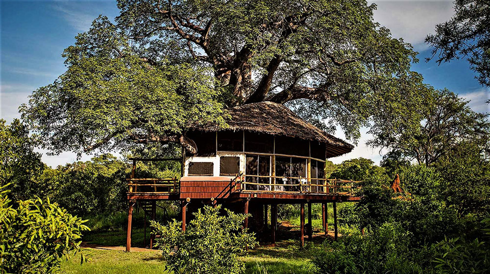 Tarangire Treetops Lodge Tanzania
