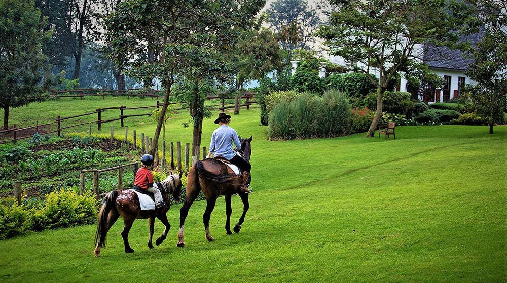 The Luxury Manor Hotel Compound at Ngorongoro